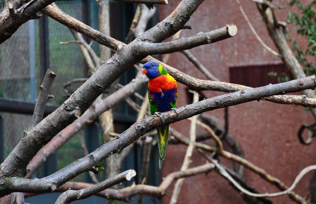 image03