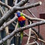 image03